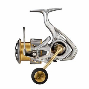 ダイワ(DAIWA) 21 フリームス LT4000-C