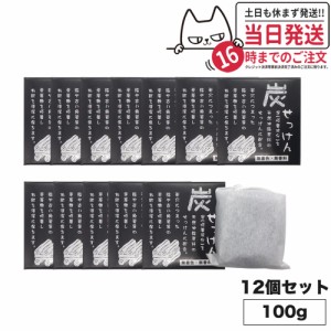 【12個セット 国内正規品】 地の塩社 炭せっけん (炭石鹸)  100g 薬用炭配合 石けん せっけん 送料無料