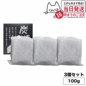 【3個セット 国内正規品】 地の塩社 炭せっけん (炭石鹸)  100g 薬用炭配合 石けん せっけん 送料無料