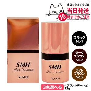 3個セット SMH メンズ ヘアファンデーション 20g No.2ダーク