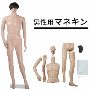 男性用マネキンGM-1 送料無料 マネキン 全身 男性 / トルソー 人形 170以上 180 185 スタンド アパレル ポーズ イベント メンズ 男 おと