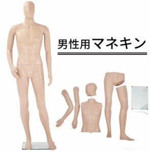 男性用マネキンGM-1S マネキン トルソー メンズ 全身 スタンド  等身大185cm イベント アパレル おとこ 手入れ 安心