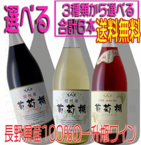 アルプスワイン 一升瓶ワイン 葡萄棚 ぶどうだな 中口 1800ml ×6本 選べる 赤 白 ロゼ ワインセット 1ケース 国産ワイン 沖縄 離島除く