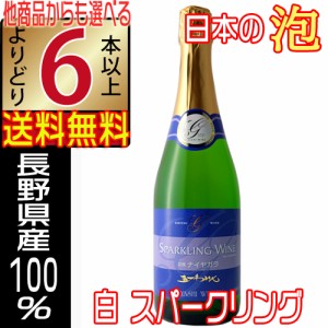 五一ワイン スパークリングワイン 白 ナイヤガラ 720ml やや甘口 長野県 国産ワイン よりどり6本以上送料無料 沖縄 離島除く