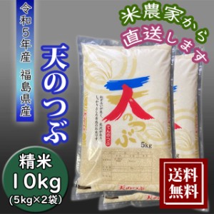 米 お米 10Kg 天のつぶ お米 10kg （5kg×2袋） 農家直送 福島県産 令和5年産 送料無料 【※九州・沖縄別途送料】