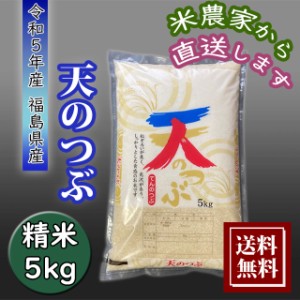 米 お米 5kg 天のつぶ お米 5kg 農家直送 福島県産 令和5年産 送料無料 【※九州・沖縄別途送料】