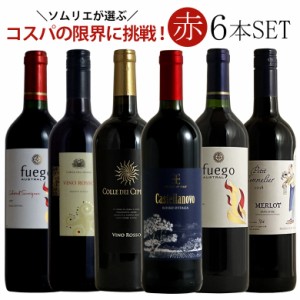 ソムリエ厳選赤ワイン6本飲み比べ 送料無料  赤 ワインセット wine ギフト 母の日 プレゼント ワイン 赤ワイン 750ML おすすめ r-41288 