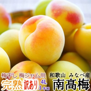 ※訳あり※ 完熟・青梅 紀州みなべ産 南高梅 サイズ(4L) ３kg【送料無料】和歌山より産地直送【梅干し、梅ジャム、梅ジュース、生梅】