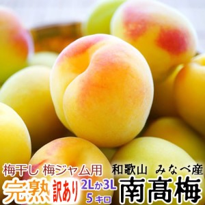 ※訳あり※ 完熟・青梅 紀州みなべ産 南高梅 サイズ(２L または ３L) ５kg【送料無料】和歌山より産地直送【梅干し、梅ジャム、梅ジュー