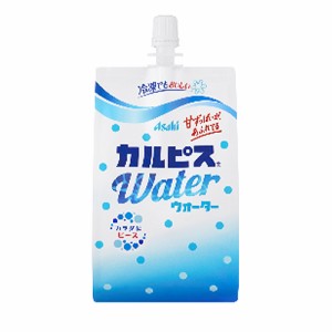 カルピスウォーターパウチ　３００ｍｌ×３０本×２ケース /運動会/遠足/祭り/子供会/幼稚園/