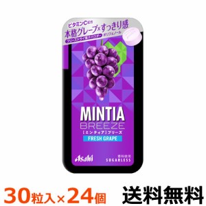 アサヒグループ食品　ミンティアブリーズ　フレッシュグレープ　３０粒入×24個　【全国送料無料　ネコポス】本格的なグレープのおいしさ