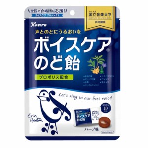 カンロ　ボイスケアのど飴（70ｇ）×12個