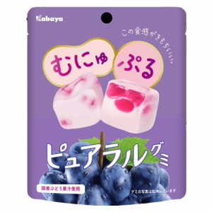 カバヤ　ピュアラルグミ　ぶどう　58ｇ×8個