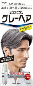 ホーユー Ｍビゲン　グレーヘアＮＧ　８０ｇ 80ｇ×27個   【送料無料】