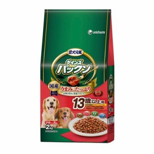 【全商品ポイント10倍 5/3(金)0:00〜23:59】愛犬元気ゲインズパックン１３歳２ｋｇ×4個