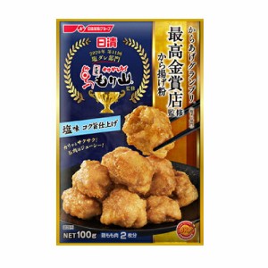 日清　からあげグランプリ 最高金賞店監修　から揚げ粉 塩味　コク旨仕上げ 100g×40個×2ケース【送料無料】