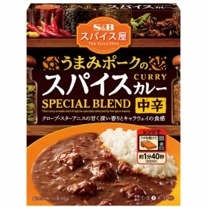 S&B スパイス屋　うまみポークのスパイスカレー　中辛（180g）×12個×2セット