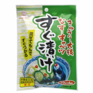 日東食工　すぐ漬け　（10g×4袋入り）×10個