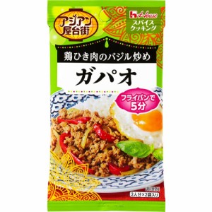 ハウス食品　スパイスクッキングアジアン屋台街＜ガパオ＞13.8g（6.9g×2袋）×10個