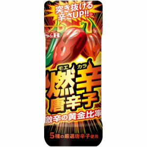 S＆B　燃辛唐辛子（45g）×5個