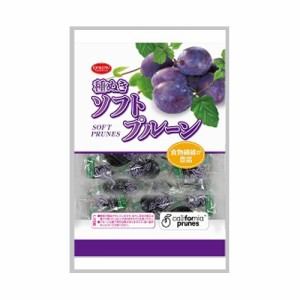 共立食品　ソフト種抜きプルーン　ピロ　110g × 12個 / ドライフルーツ / 