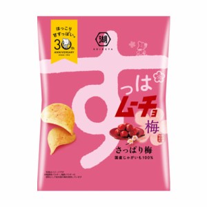 湖池屋　すっぱムーチョ　さっぱり梅味　55g × 24個 / KOIKEYA / 