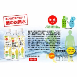 【熱中症対策】熱中対策水 500ml×48本入り ＜N11-01＞