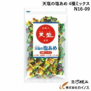 【熱中症対策】天塩の塩あめ 4種ミックス ＜1kg ・ 約250粒＞＜N16-09＞軽減税率対象