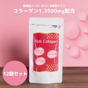 【クーポン配布中】 リッチ コラーゲン サプリ 送料無料 ヒアルロン酸 コラーゲンペプチド プロテオグリカン 美容 エラスチン サプリメン