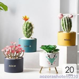 開店 祝い サボテンの通販 Au Pay マーケット