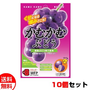 三菱食品 かむかむぶどう 10個セット 送料無料 メール便 お菓子 おやつ まとめ買い お中元 御中元 父の日 プレゼント