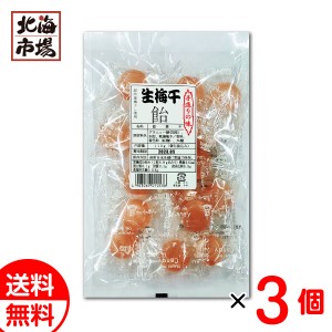 新潟 結城製菓 生梅干飴 110g×3袋セット 送料無料 あめ メール便 贈り物 お返し 誕生日 御供 お中元 御中元 お祝い 御礼 父の日 プレゼ