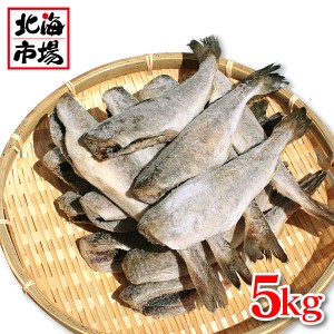 北海道産 生干し こまい ５kg【業務用】【氷魚】お返し 内祝 御供 卒業 入学 母の日 プレゼント