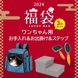 福袋 新春初売 ワンちゃん用 お手入れ＆お出掛け＆ステップ 3点セット キャリーわんにゃん 犬 猫 リュック 収納付き ペット ステップ ブ