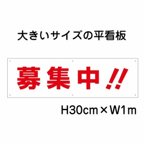 駐車場 看板 募集中 看板 大きい看板 看板 高さ30cm 幅1m 穴6ヵ所 プレート bigp-op-20anaari