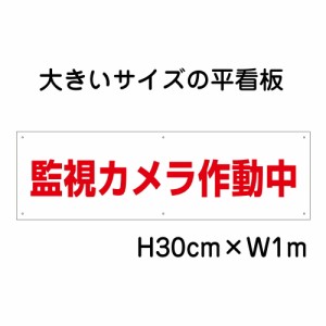 監視カメラ作動中看板 大きい看板 看板 高さ30cm 幅1m 穴6ヵ所 プレートbigp-op-42