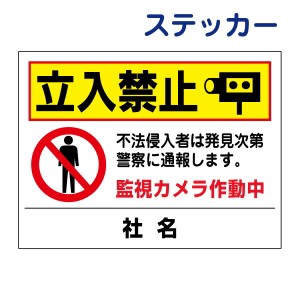 看板風注意ステッカー立入禁止 立ち入り禁止 不法侵入 監視カメラ作動中 T2-48ST