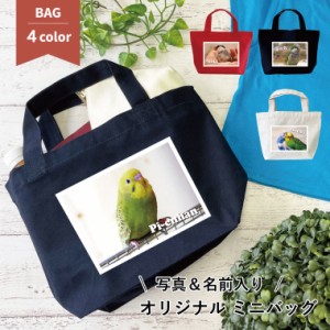 【エブリーペット】ペット 写真入り 鳥 ミニバッグ トートバッグ 名前入り 名入れ 写真プリント ミニトート b-minibag2