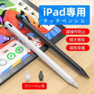 タッチペン iPad ペンシル スタイラスペン 高感度高精度 極細ペン先 Type-C急速充電 25h使用可 傾き検知 磁気吸着 iPad 第10世代 8 7 6 