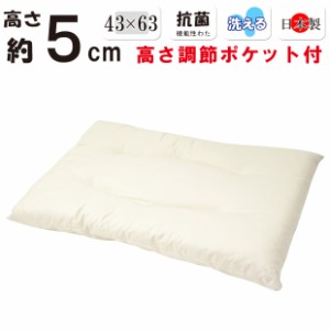 高さ調節ポケット付き 低い枕 低め 約５cm 洗える枕 43×63cm 日本製 綿100％ 薄型 テイジン フィルケアＥＣＯ すごく低い 超低め ストレ