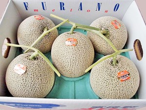 富良野メロン（秀・8kg) 1.6kg×5玉 北海道産 めろん 出荷時期：7〜9月