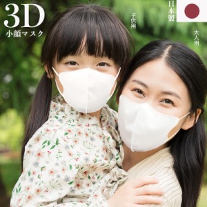 日本製 3Dマスク 小顔 薄型 20枚 立体マスク 息がしやすい 立体構造 不織布マスク 普通サイズ 男女兼用 使い捨て 血色 カラー 耳が痛くな