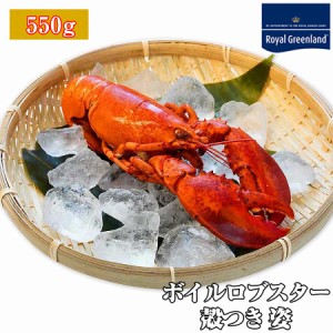 ロブスター オマール海老 ボイル済 550g 海老エビ 海産物 海鮮 食べ物 ご家庭用 ギフト お取り寄せ グルメ 洋食 和食 中華 幅広く使える 