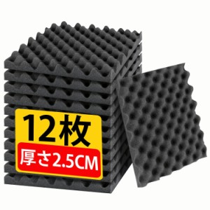 吸音材 防音材 30*30*2.5cm 20kg/m3 12枚 高密度 両面テープ付き 吸音対策 防音 遮音 練習室/録音室/オフィス/室内装飾 難燃 防潮