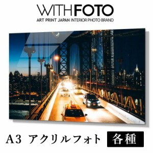 インテリア 写真 A3 フォト 壁掛け アートプリントジャパン WITH FOTO アクリルフォト 風景 お祝い APJ 動物