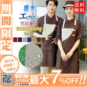 【限定セール！10倍ポイント】 エプロン カフェエプロン おしゃれ かわいい ロング丈 首掛け式 保育士 男女兼用 長い フリーサイズ プレ