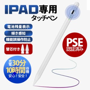 【限定セール！10倍ポイント】 残量表示/傾き感知 タッチペン iPad ペンシル スタイラスペン 極細ペン先 Type-c充電 iPad Air5 mini6 Air