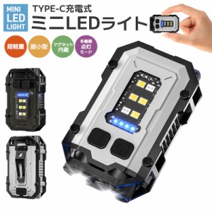 Type-c充電式ミニLEDライト キーライト 非常用ライト 懐中電灯 コンパクト 充電式 超小型 軽量 300LM マグネット内蔵 防水 耐衝撃 丈夫