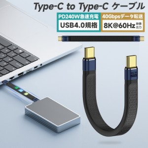 USB4.0 Type-C to Type-Cケーブル モバイルバッテリー用 ハブ用 for iPhone15/MacBook Pro/iPad Pro/Galaxy S23など usb-cケーブル 短い