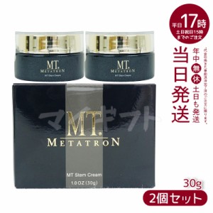 【2個セット】MTメタトロン MT ステムクリーム 保湿クリーム 30g 化粧品 フェイスクリーム エイジングケア 高保湿 スキンケア 濃厚